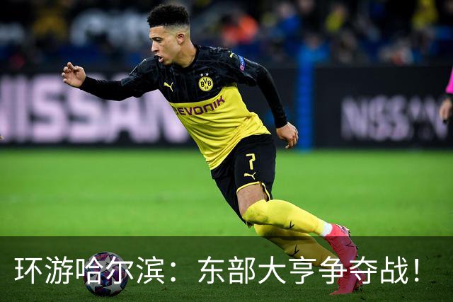 环游哈尔滨：东部大亨争夺战！